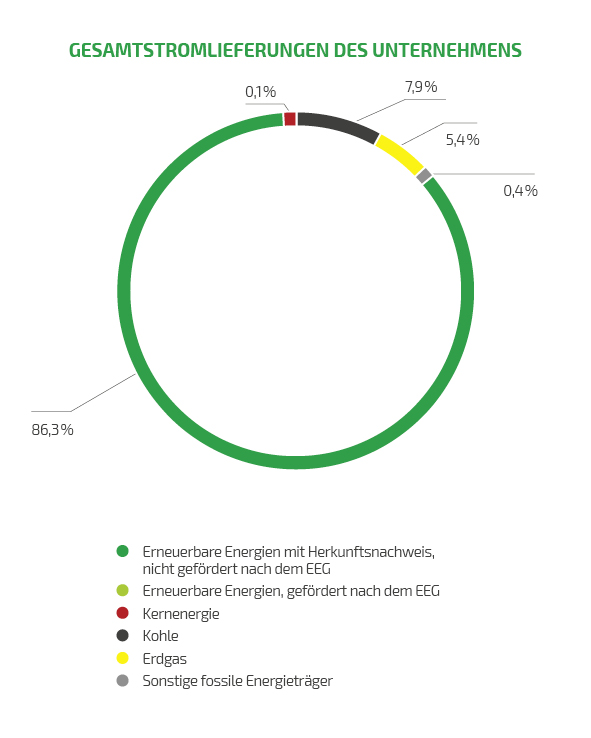 Energiemix Gesamtstromlieferung des Unternehmens Kreisdiagram